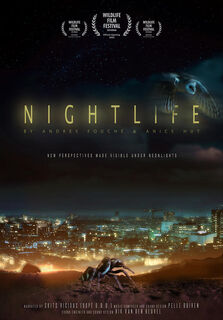 Nightlife ENG 16.00